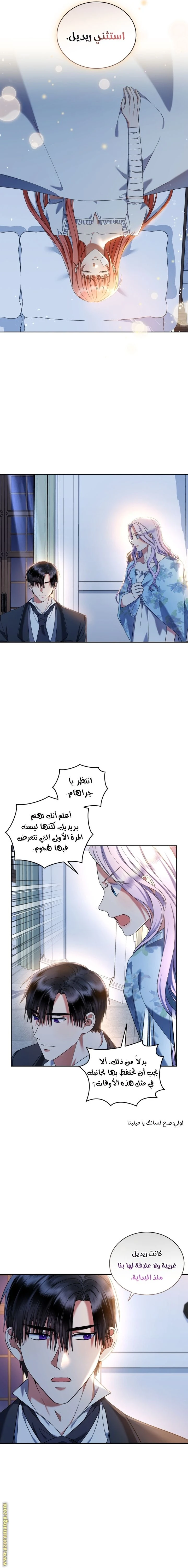 الصفحة 13