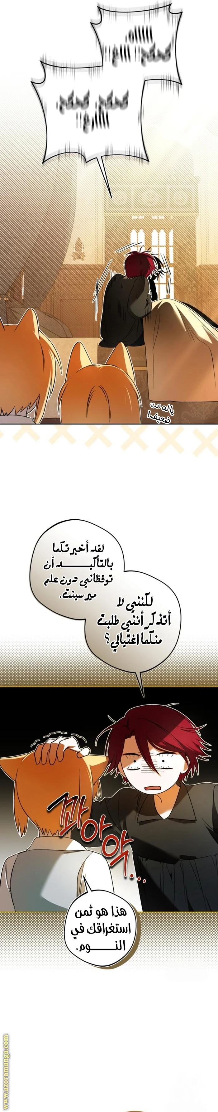 الصفحة 25