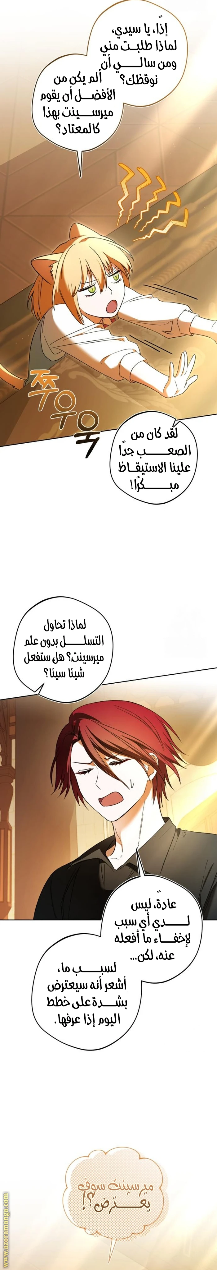 الصفحة 26