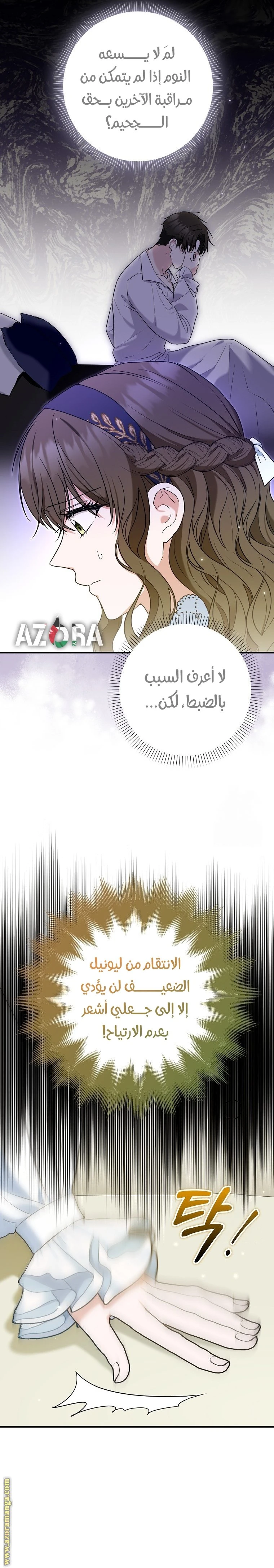 الصفحة 13