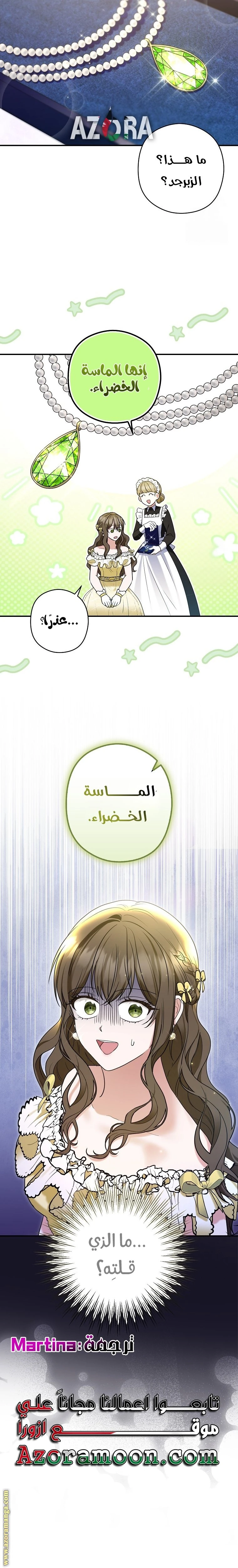 الصفحة 24