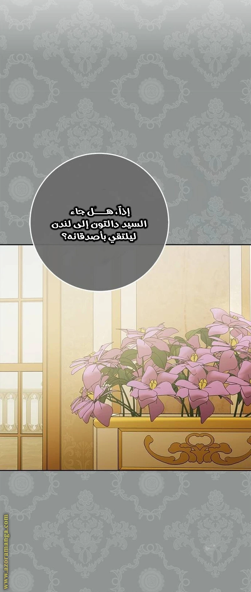 الصفحة 17