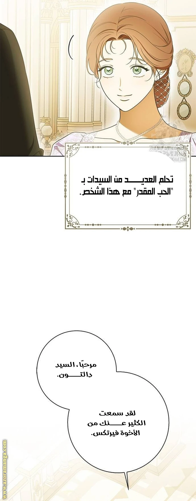 الصفحة 22