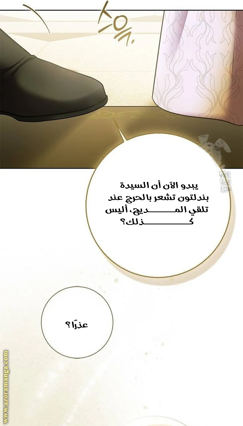 الصفحة 46