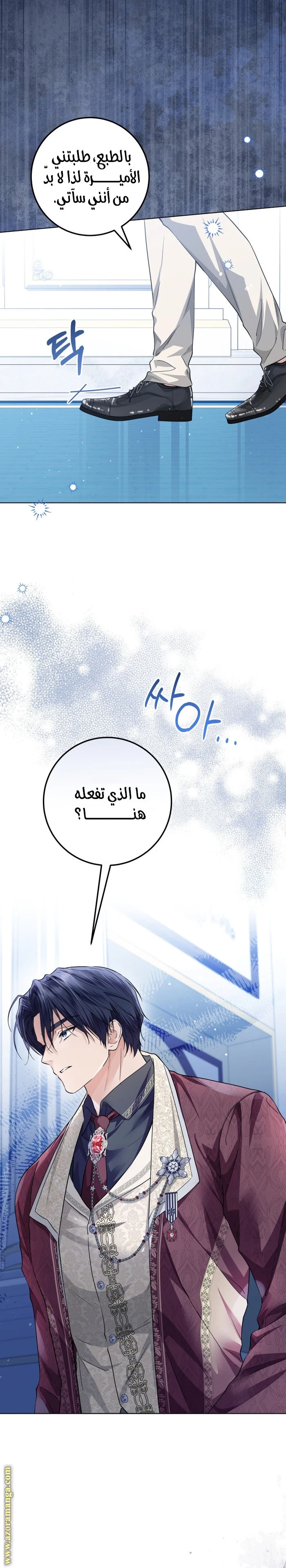 الصفحة 11