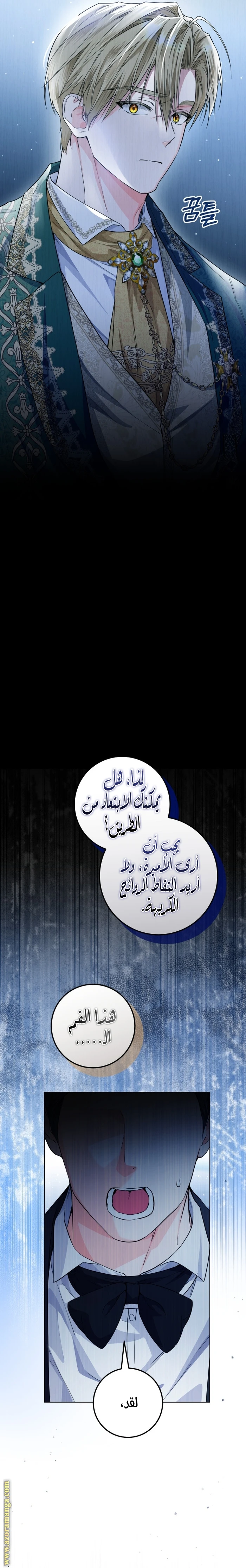 الصفحة 14