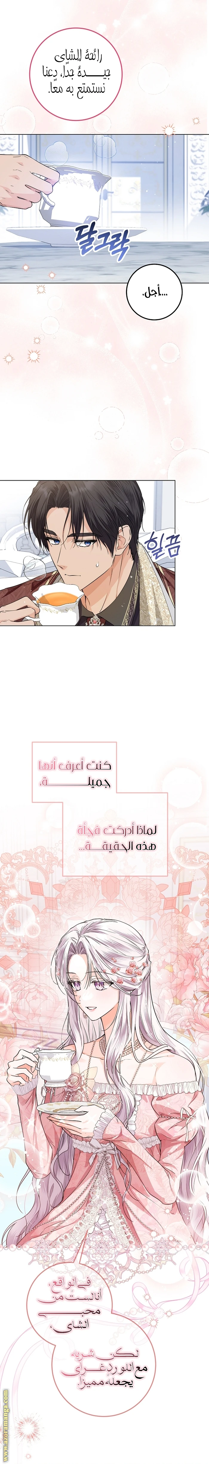 الصفحة 19