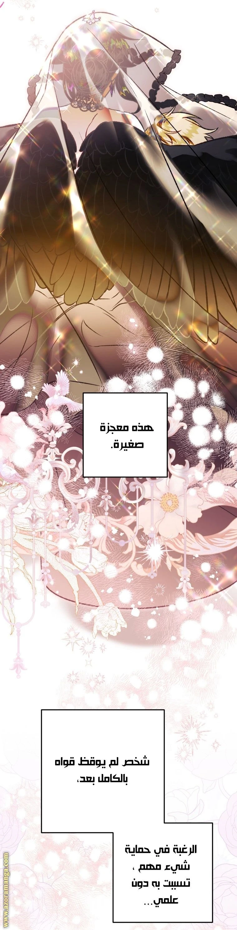 الصفحة 15