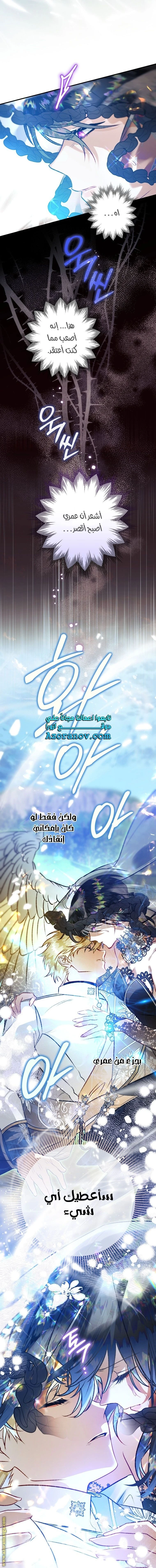 الصفحة 42