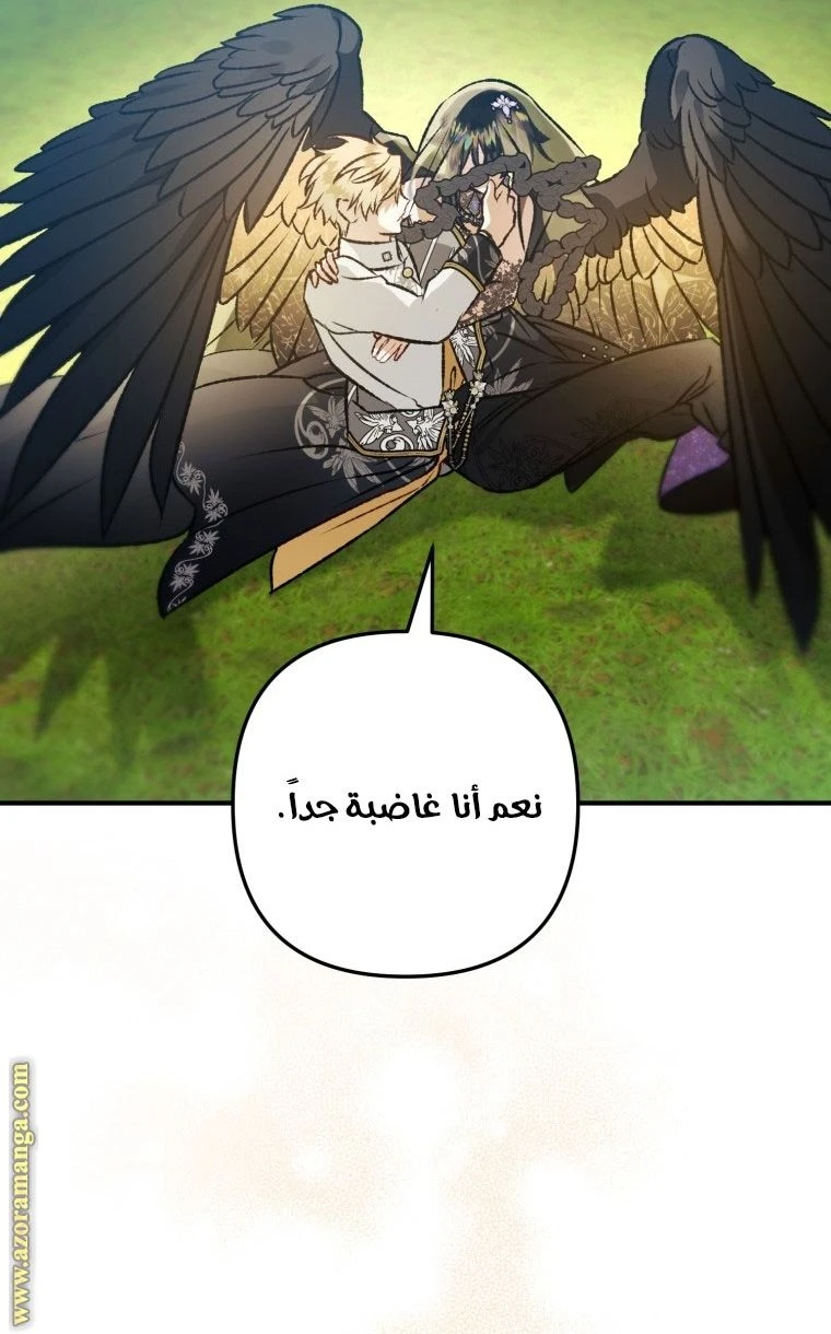 الصفحة 47