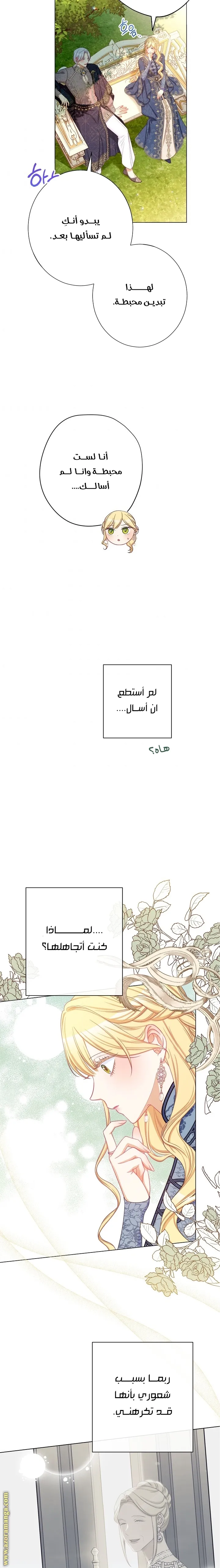 الصفحة 17