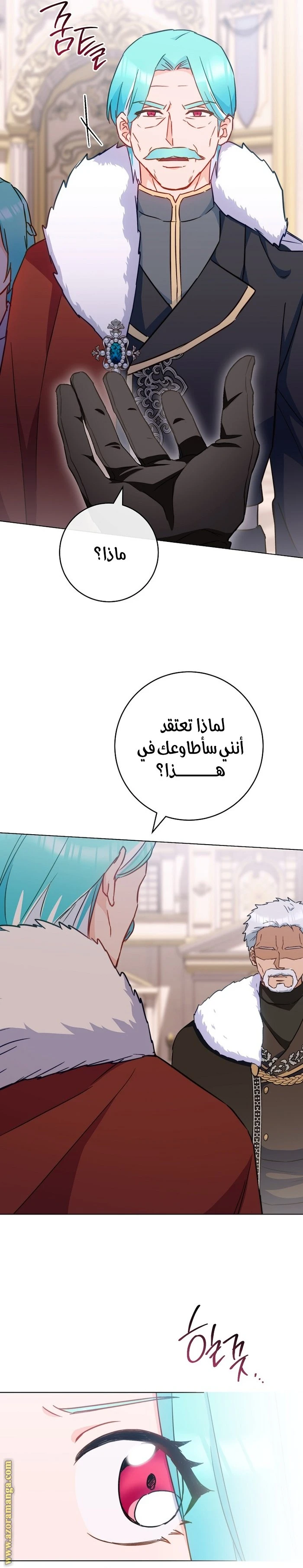 الصفحة 17
