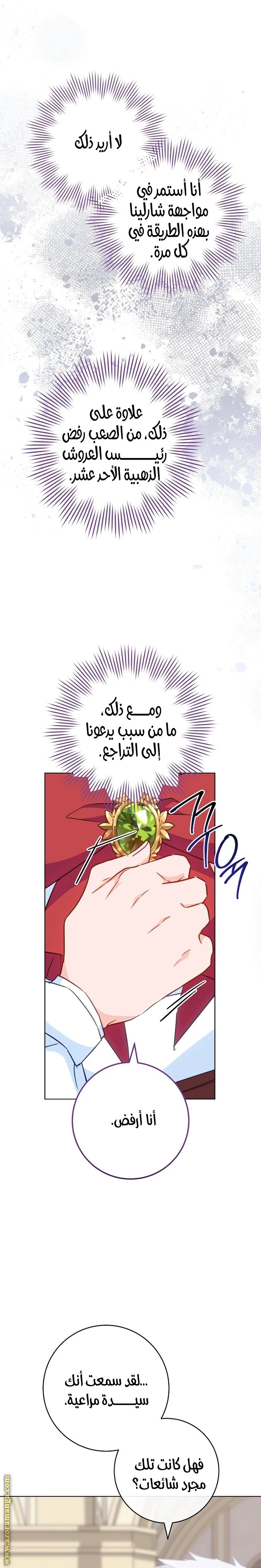 الصفحة 21