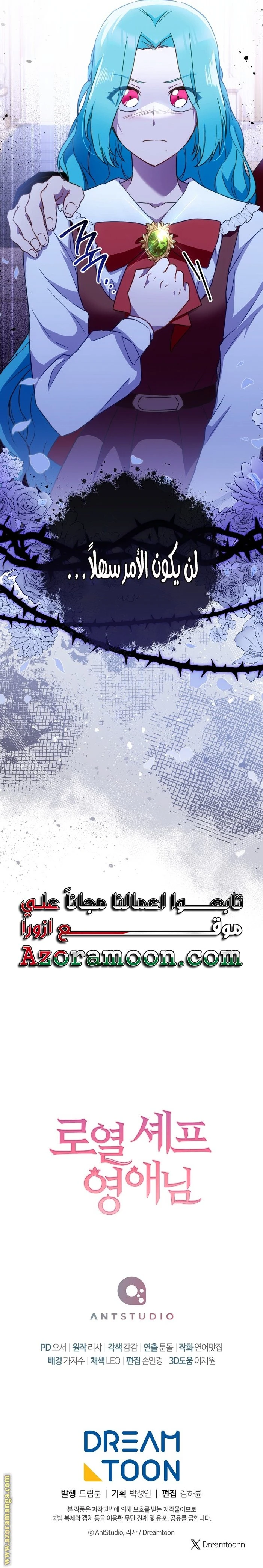 الصفحة 29