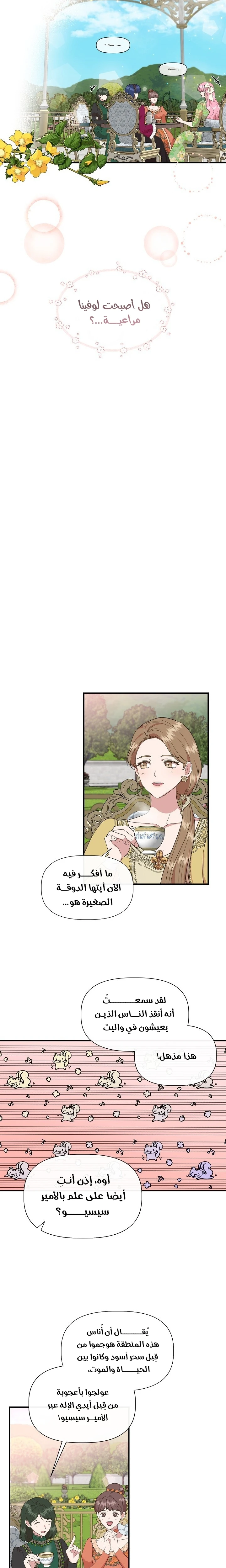 الصفحة 13