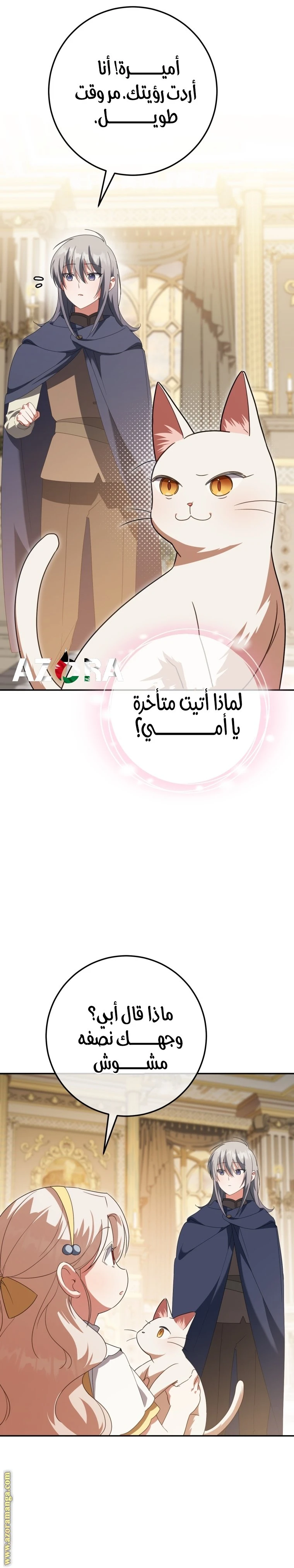 الصفحة 11