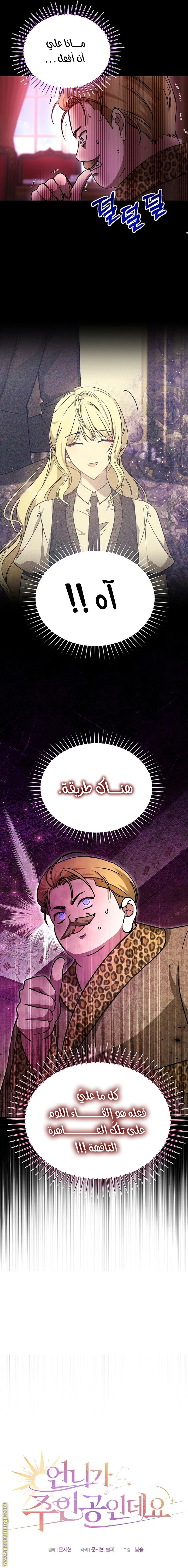 الصفحة 13