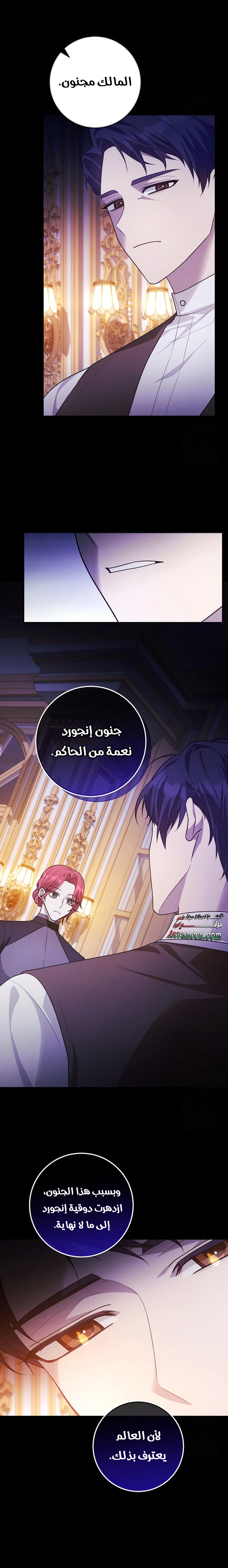 الصفحة 11