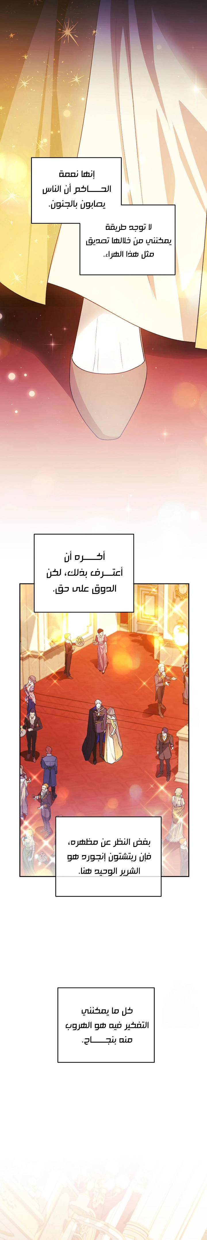 الصفحة 13