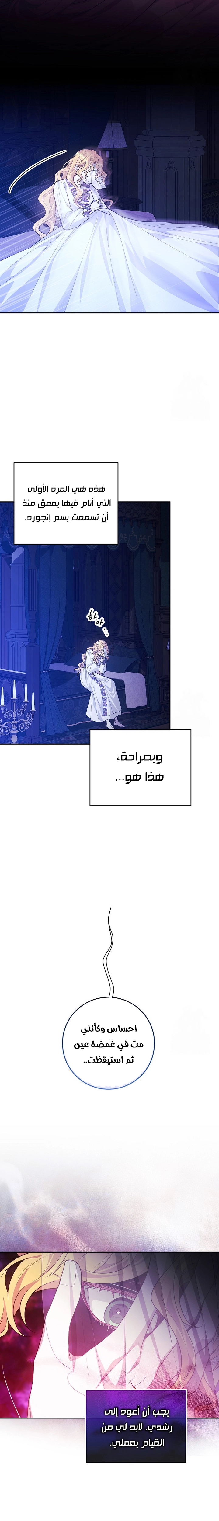 الصفحة 17