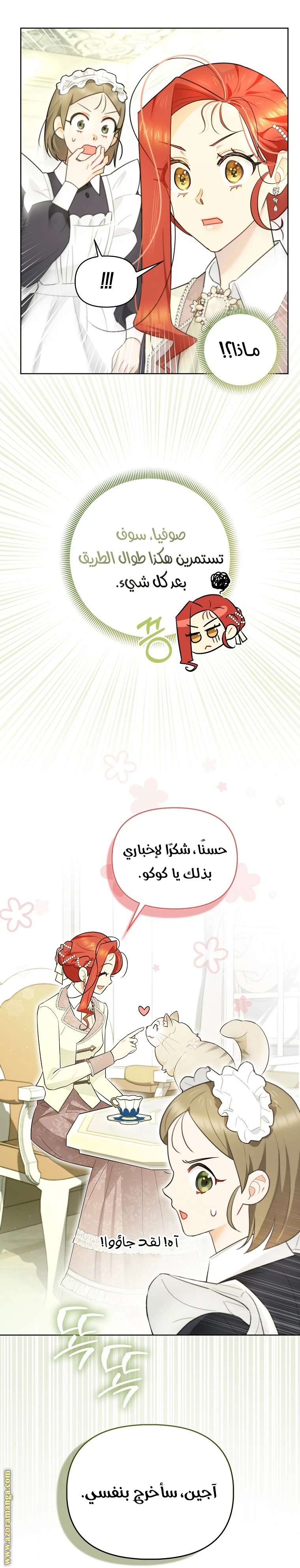 الصفحة 11