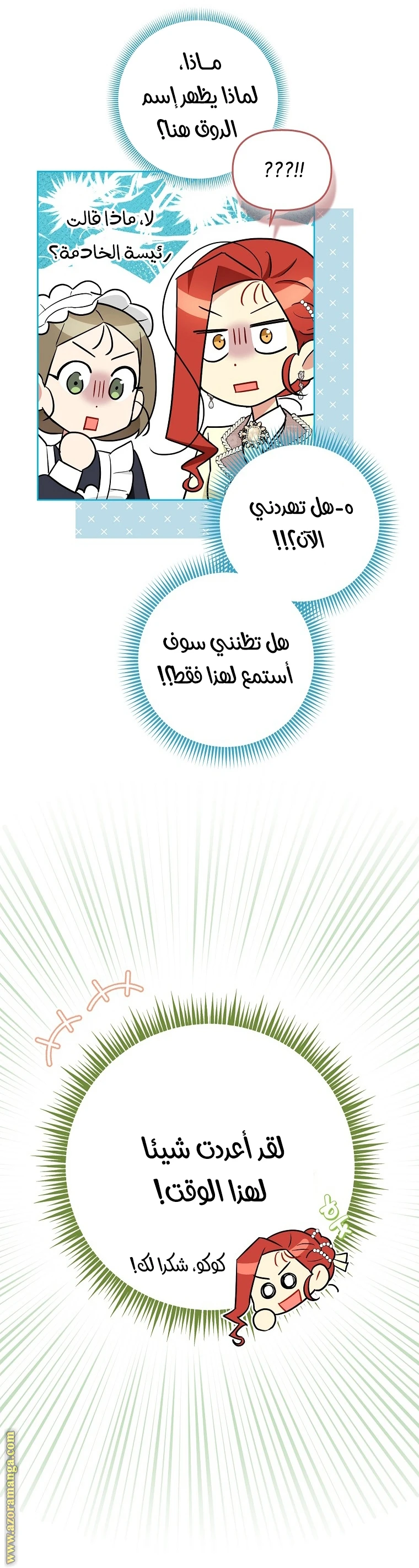 الصفحة 17