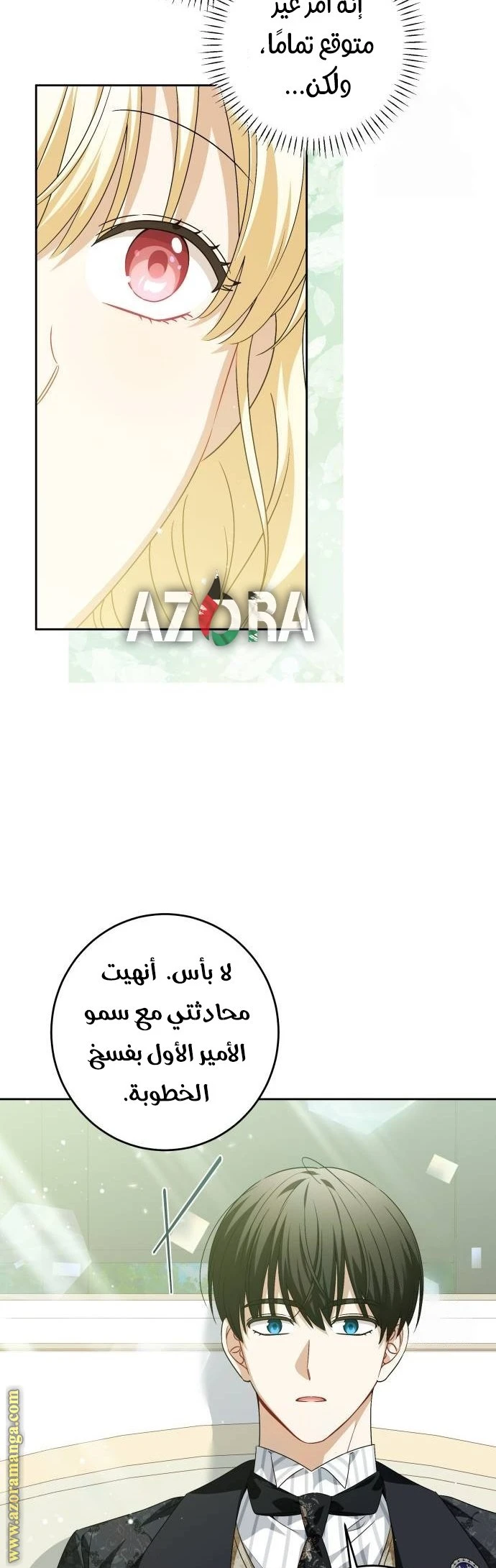 الصفحة 28