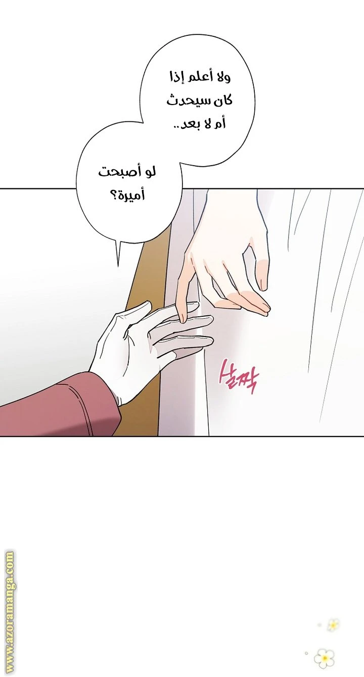 الصفحة 20