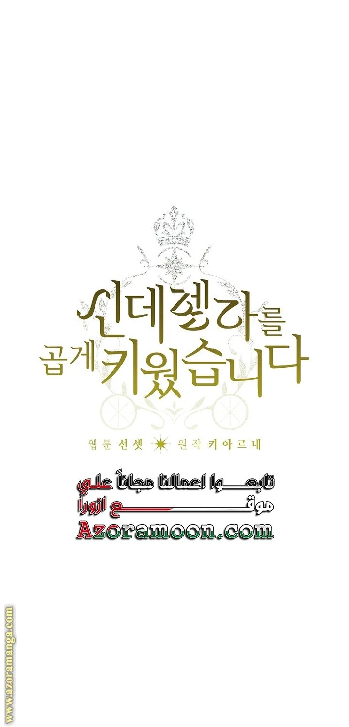 الصفحة 23