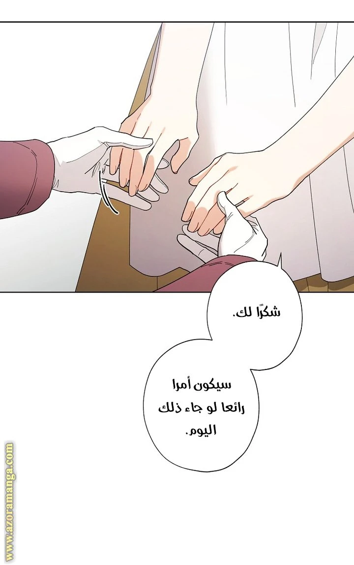 الصفحة 24
