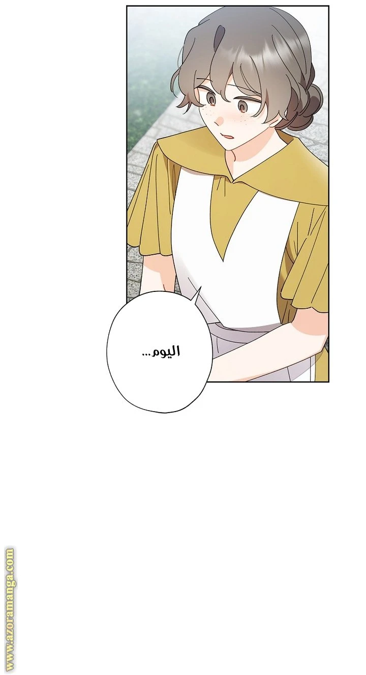 الصفحة 25
