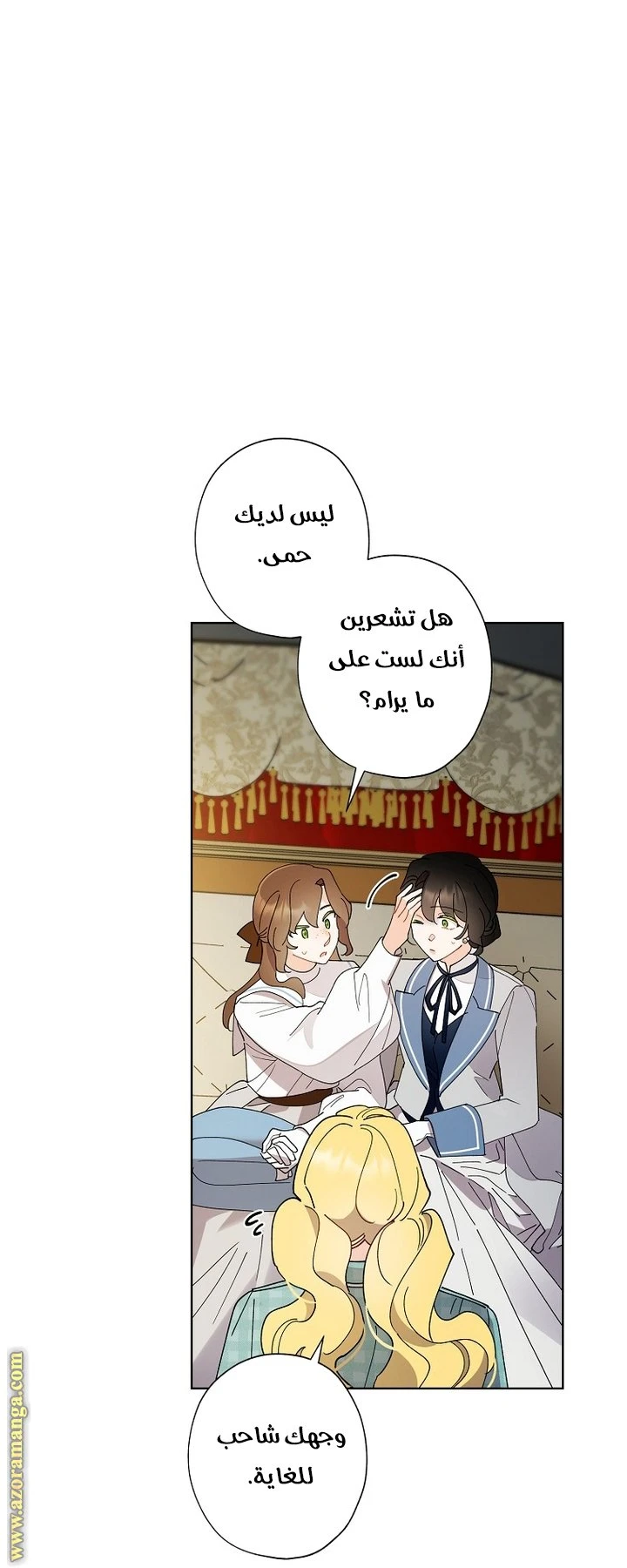 الصفحة 43
