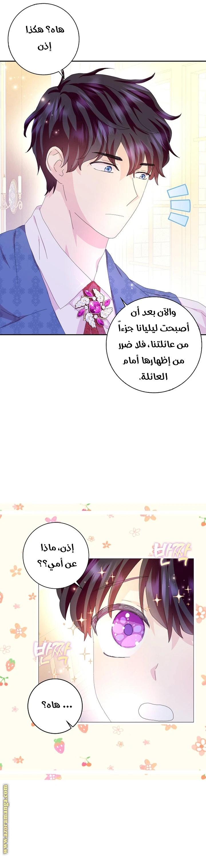 الصفحة 13