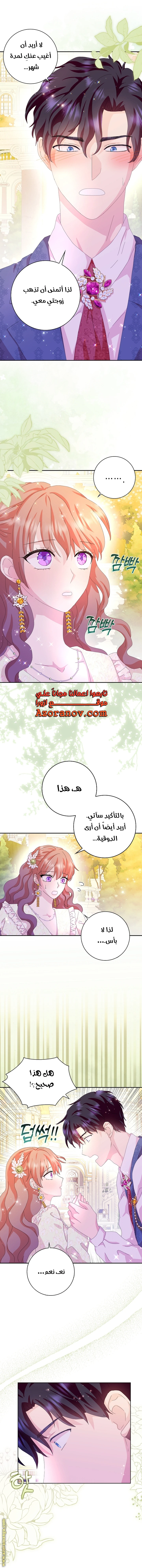 الصفحة 20