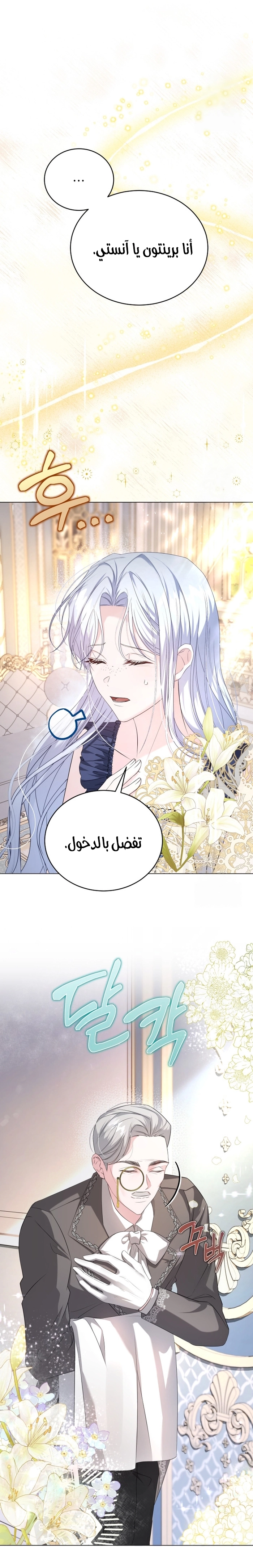 الصفحة 31