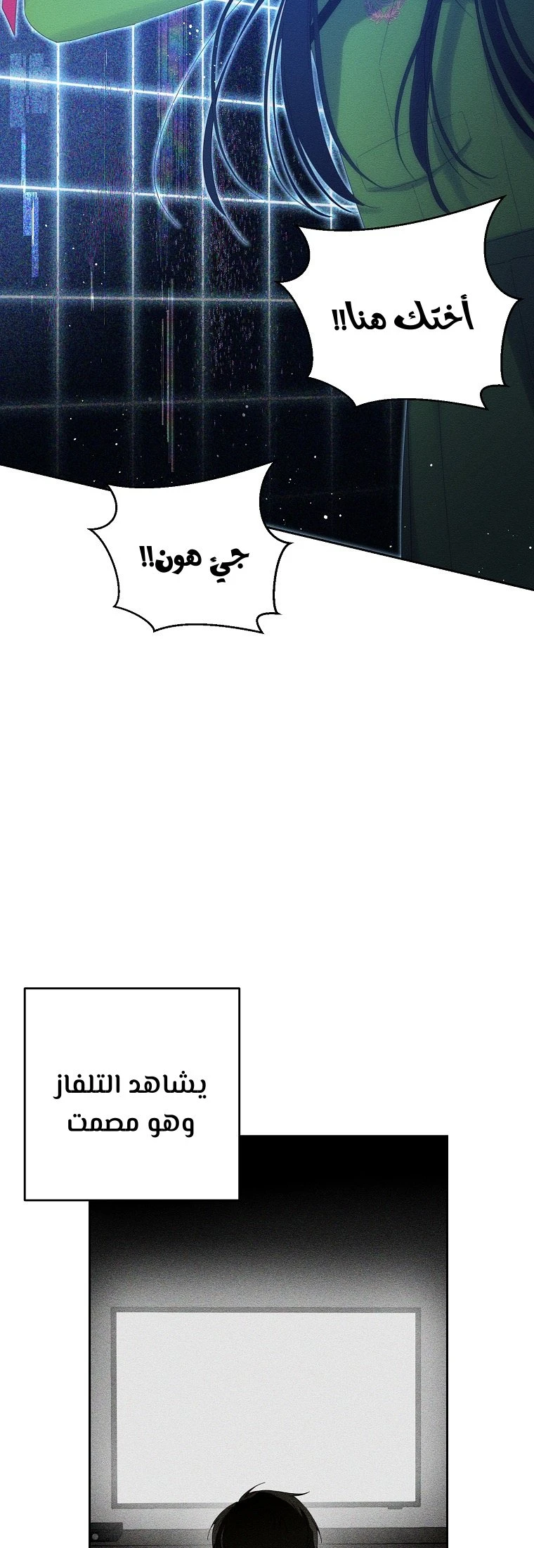 الصفحة 13