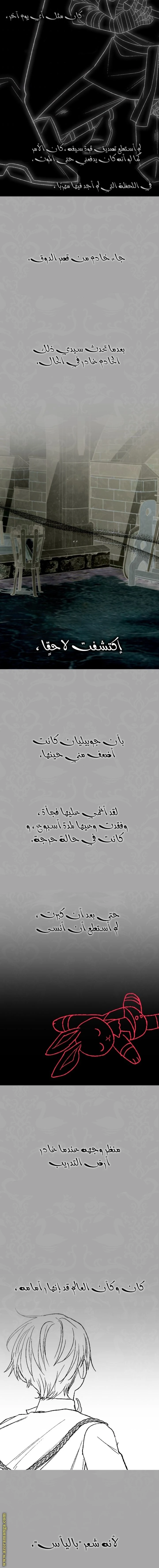 الصفحة 24
