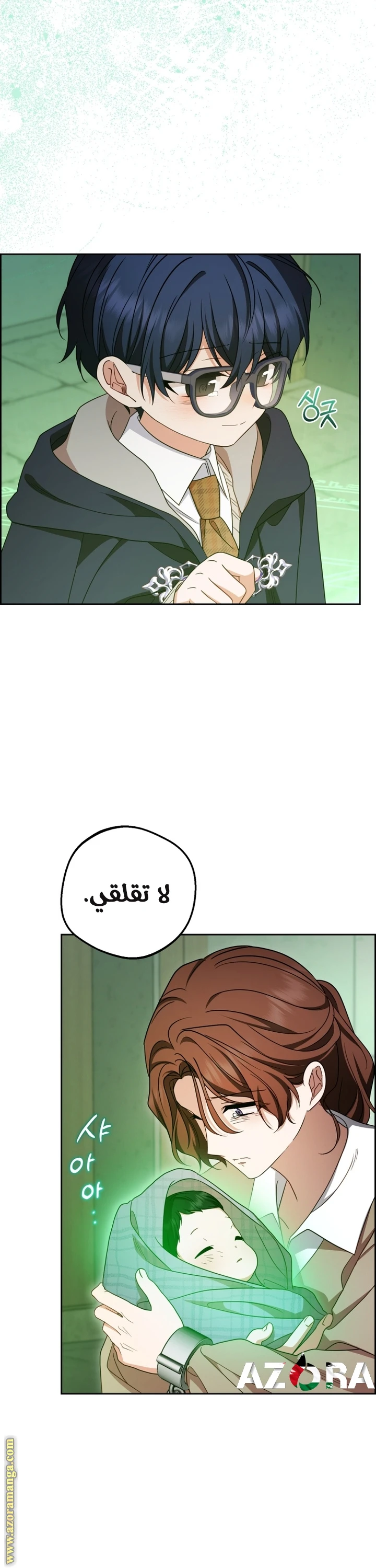 الصفحة 17