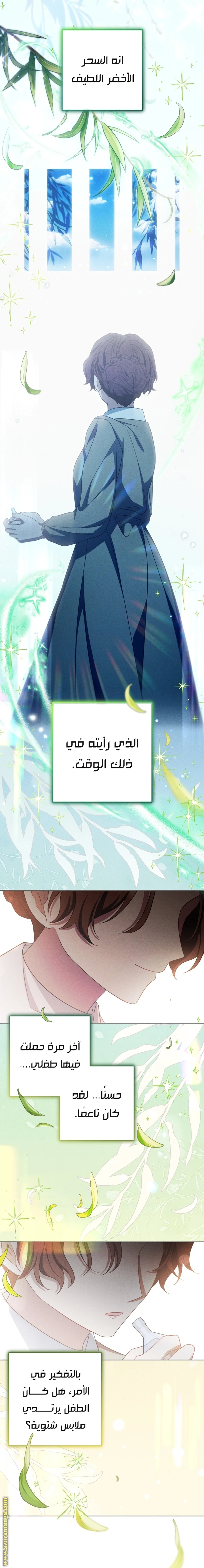 الصفحة 26