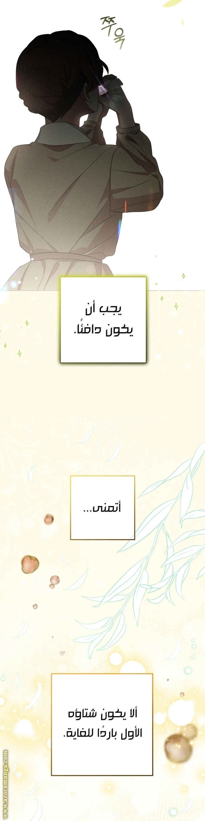 الصفحة 27