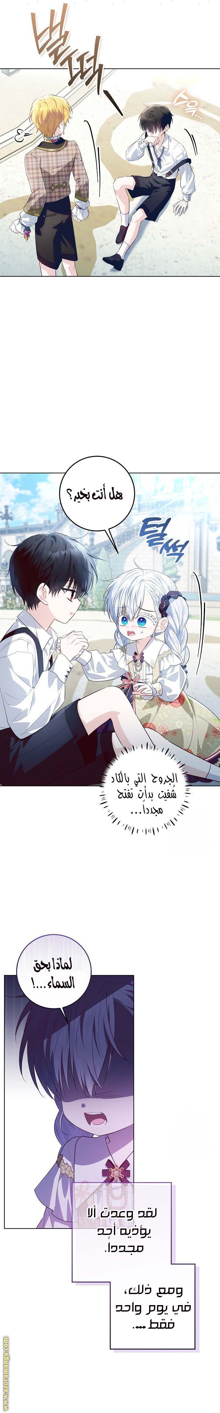 الصفحة 11