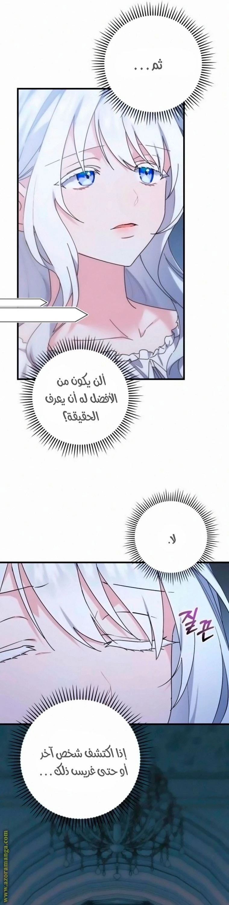 الصفحة 17