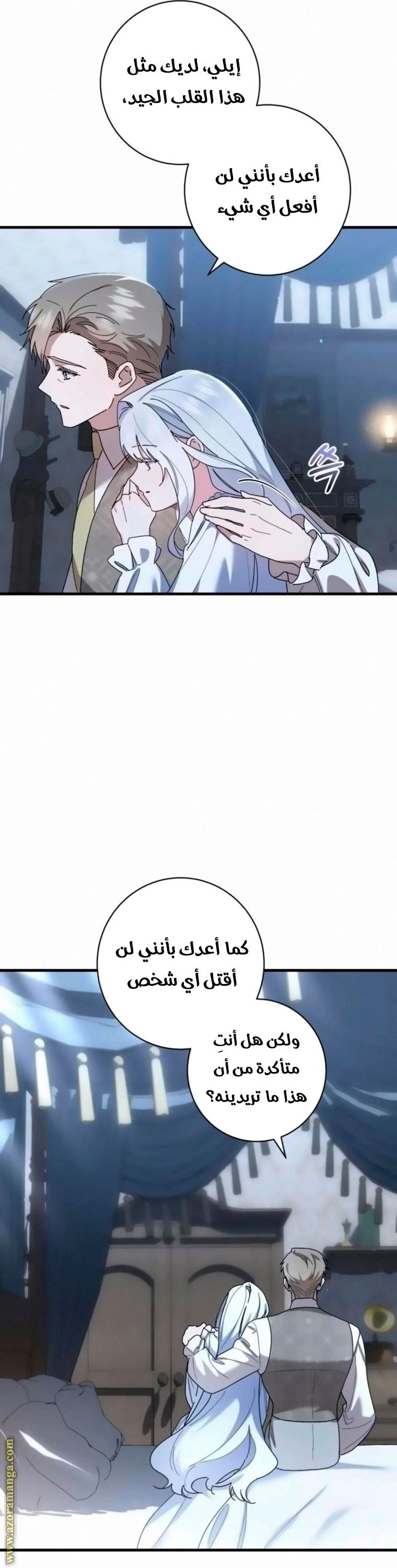 الصفحة 29