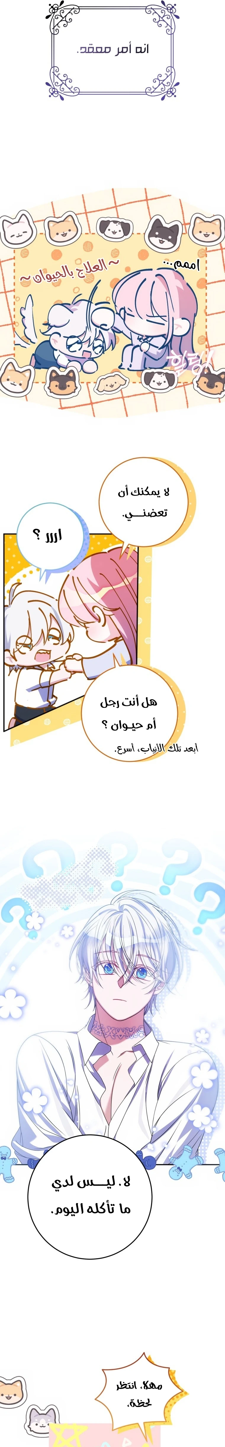 الصفحة 18