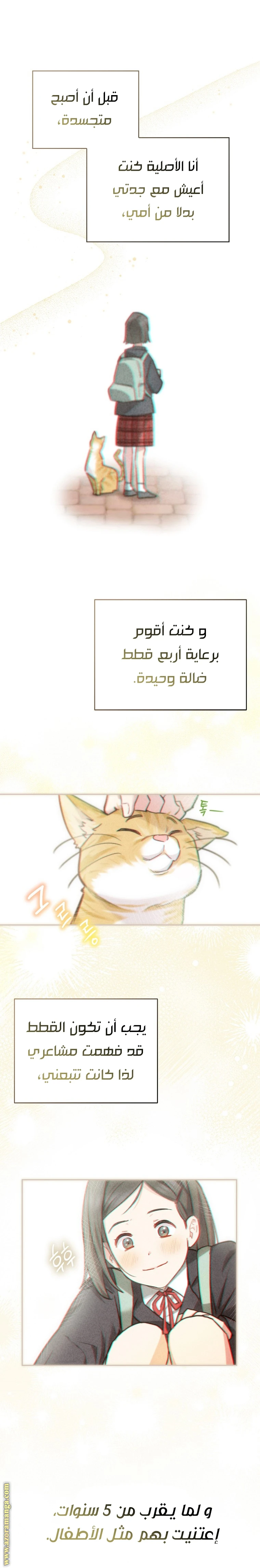 الصفحة 5