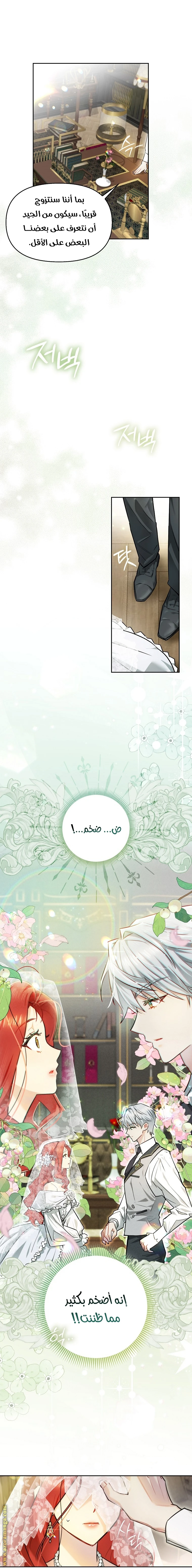 الصفحة 24
