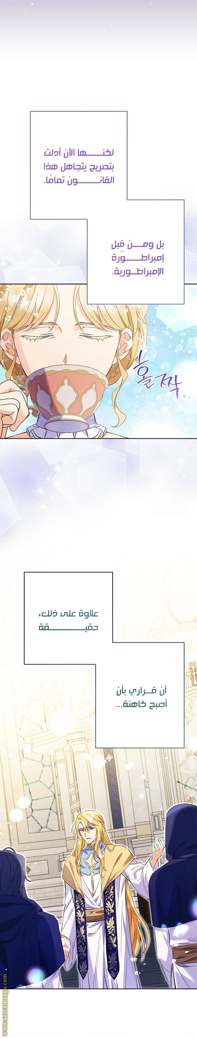 الصفحة 11