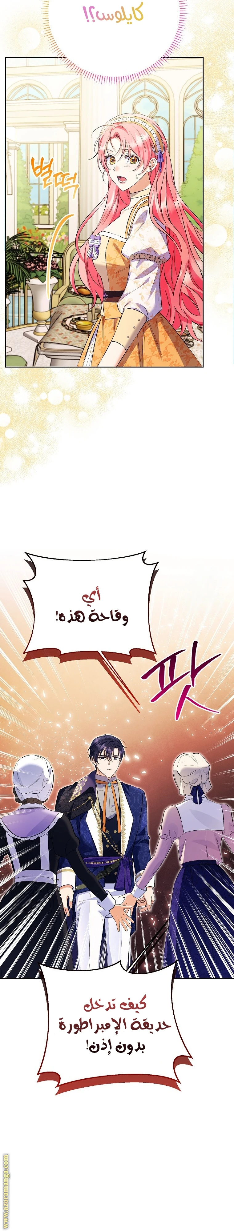 الصفحة 18