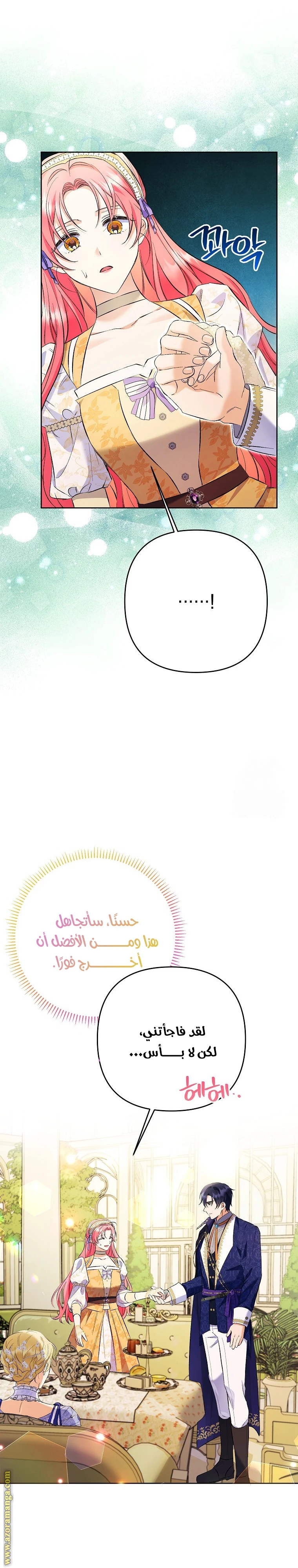 الصفحة 26