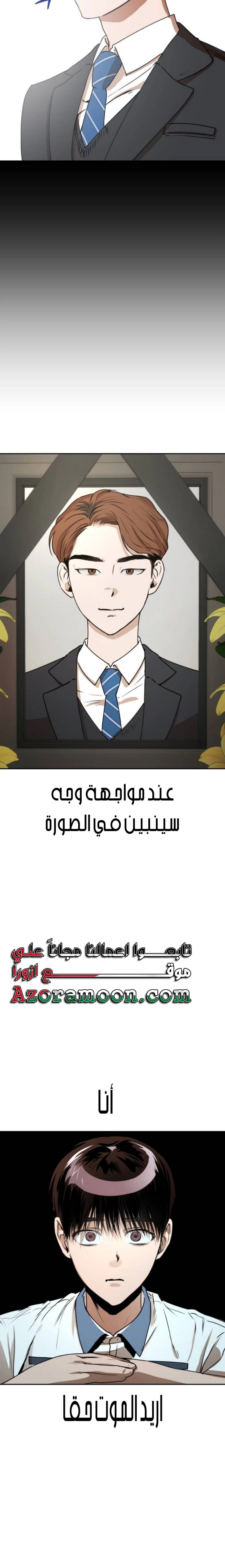 الصفحة 17